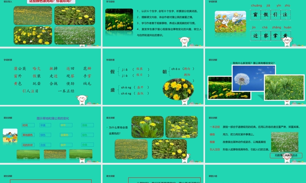 三年级语文上册 1《色彩》金色的草地课件1 北师大版-北师大版小学三年级上册语文课件