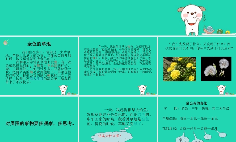 三年级语文上册 1《色彩》金色的草地课件2 北师大版-北师大版小学三年级上册语文课件