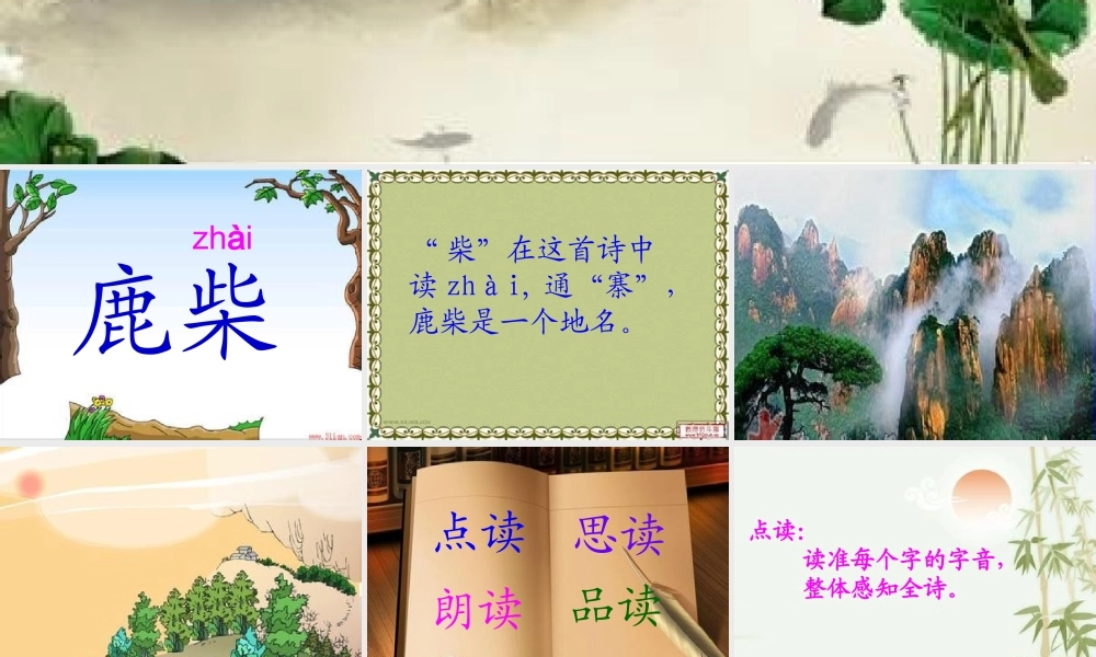 三年级语文上册 第七单元 鹿柴课件3 长春版-长春版小学三年级上册语文课件