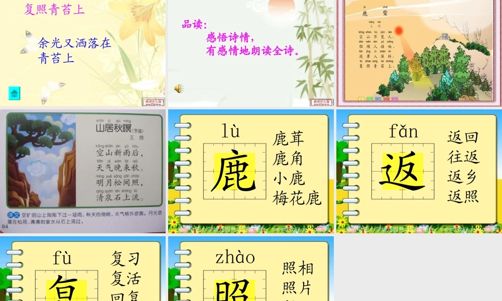 三年级语文上册 第七单元 鹿柴课件3 长春版-长春版小学三年级上册语文课件