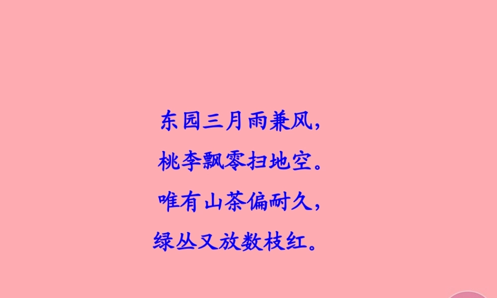 三年级语文上册 第七单元 山茶花课件1 鄂教版-鄂教版小学三年级上册语文课件