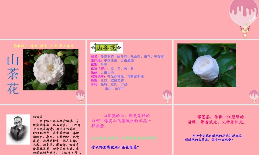 三年级语文上册 第七单元 山茶花课件1 鄂教版-鄂教版小学三年级上册语文课件