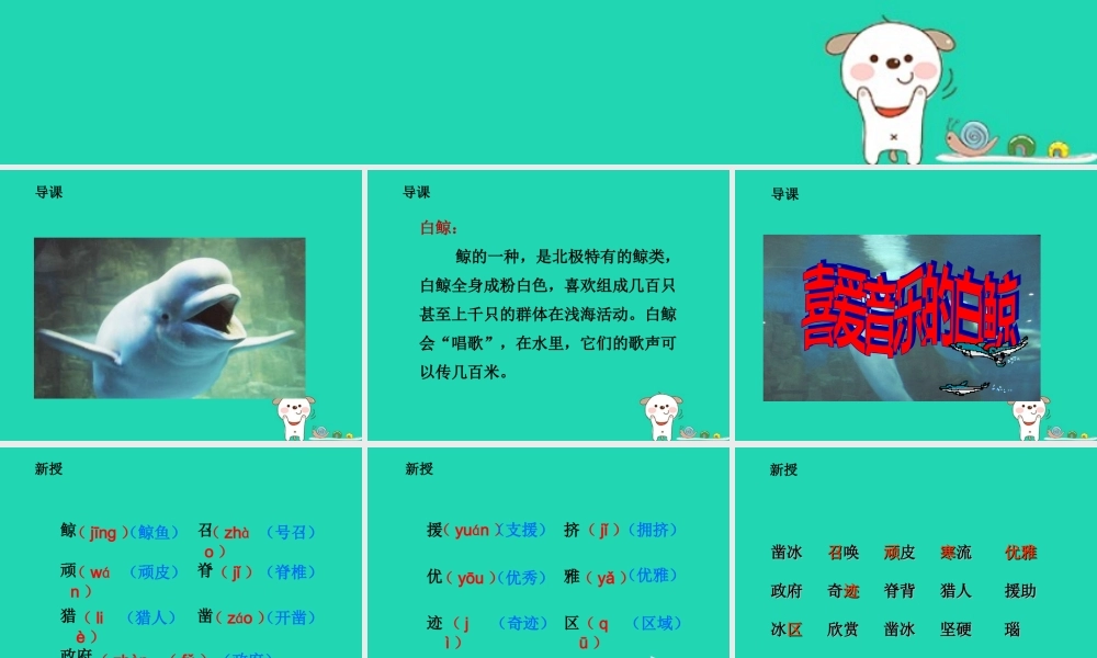 三年级语文上册 2 声音《喜爱音乐的白鲸》（第1课时）课件 北师大版