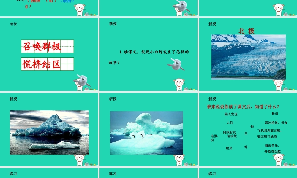 三年级语文上册 2 声音《喜爱音乐的白鲸》（第1课时）课件 北师大版