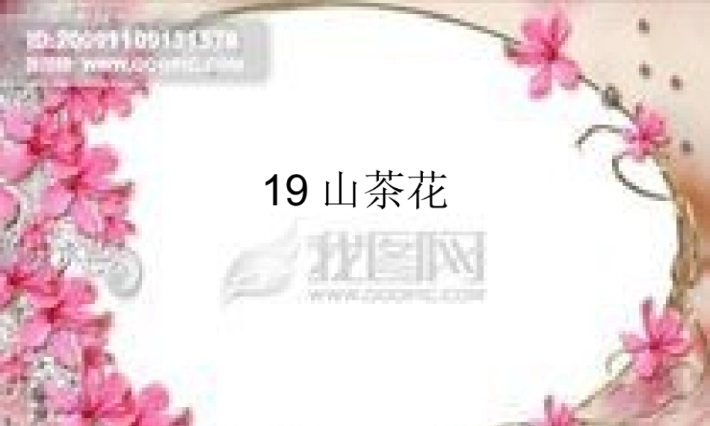 三年级语文上册 第七单元 山茶花课件3 鄂教版-鄂教版小学三年级上册语文课件