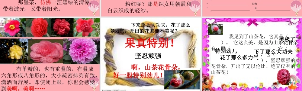 三年级语文上册 第七单元 山茶花课件3 鄂教版-鄂教版小学三年级上册语文课件