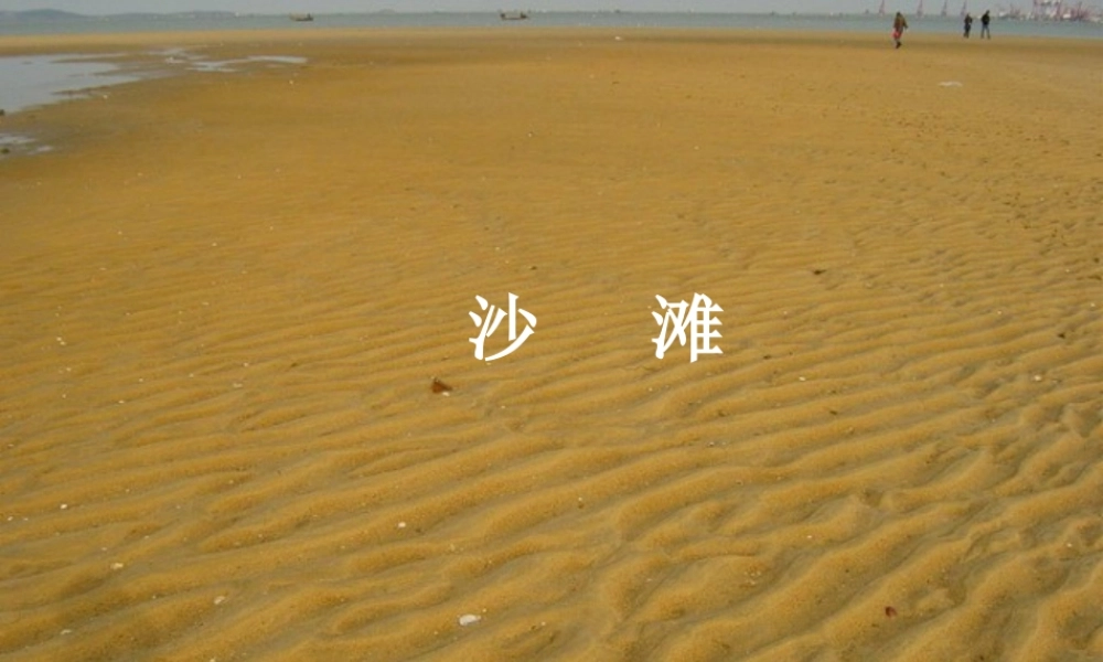 三年级语文上册 第4课 沙滩上的童话课件 语文S版