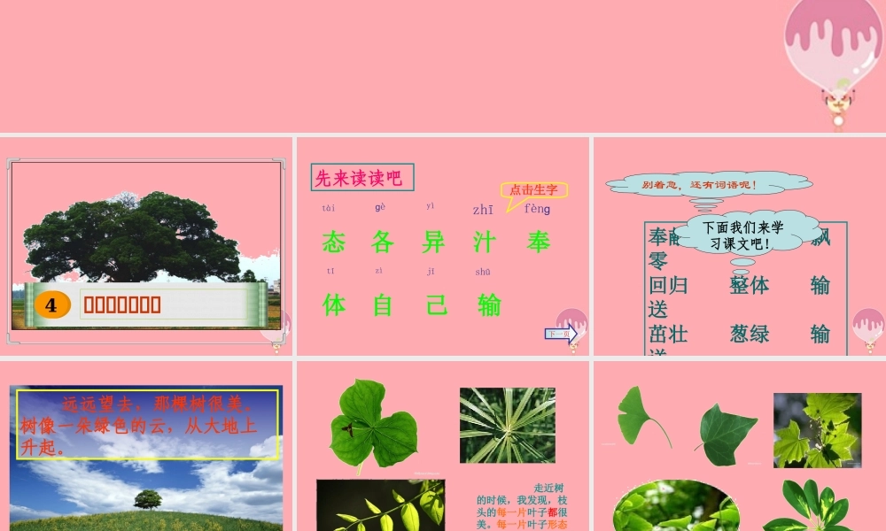 三年级语文上册 第4课 做一片美的叶子课件 苏教版-苏教版小学三年级上册语文课件