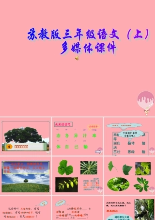 三年级语文上册 第4课 做一片美的叶子课件 苏教版-苏教版小学三年级上册语文课件