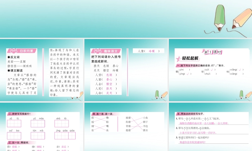 三年级语文上册 第5单元 15 搭船的鸟课件 新人教版-新人教版小学三年级上册语文课件