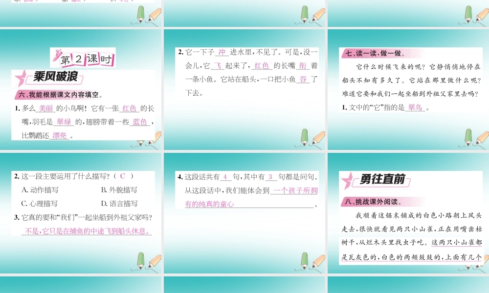 三年级语文上册 第5单元 15 搭船的鸟课件 新人教版-新人教版小学三年级上册语文课件