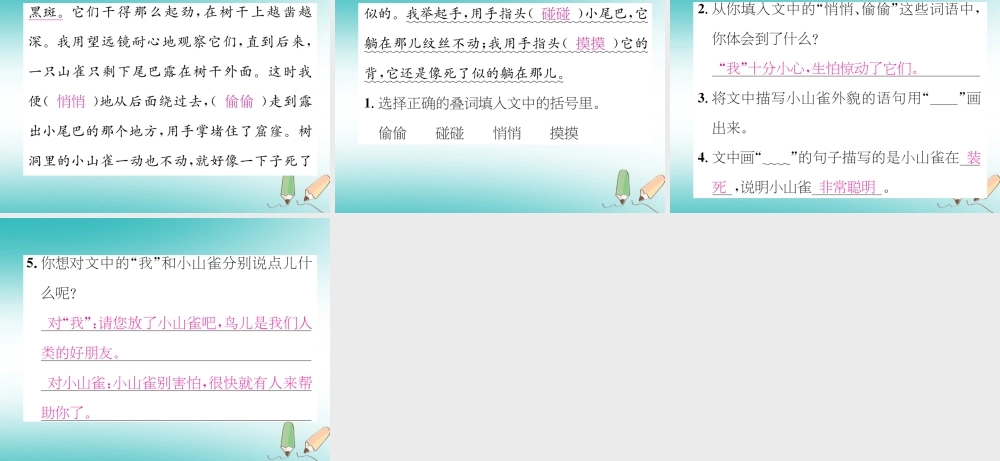 三年级语文上册 第5单元 15 搭船的鸟课件 新人教版-新人教版小学三年级上册语文课件