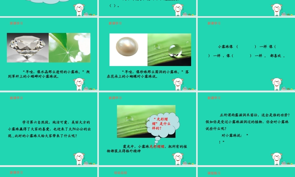 三年级语文上册 第5单元 15小露珠（第2课时）课件 苏教版-苏教版小学三年级上册语文课件