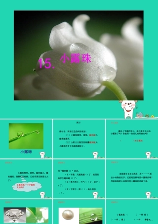 三年级语文上册 第5单元 15小露珠（第2课时）课件 苏教版-苏教版小学三年级上册语文课件