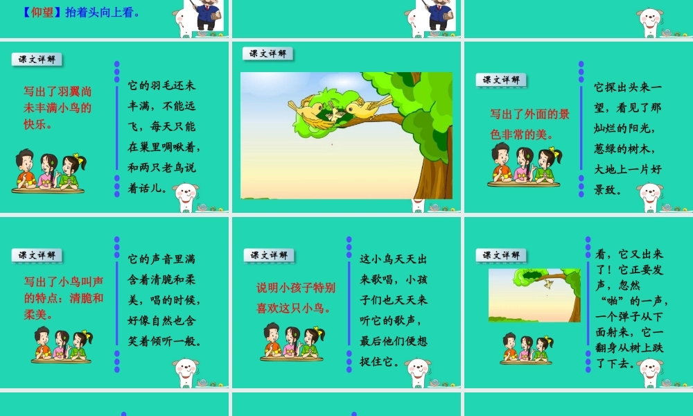 三年级语文上册 第一单元 2 一只小鸟课件 鄂教版