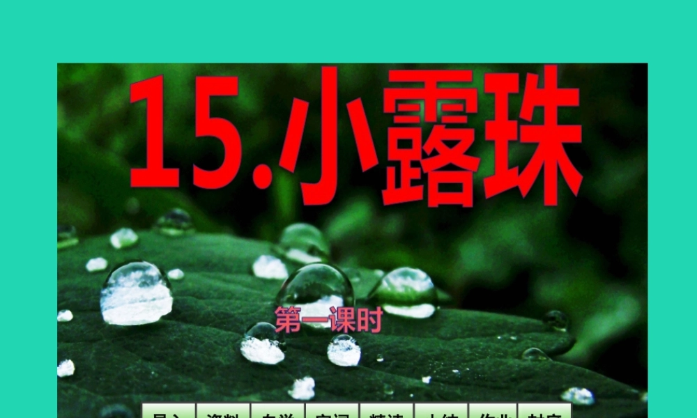 三年级语文上册 第5单元 15小露珠课件 苏教版-苏教版小学三年级上册语文课件