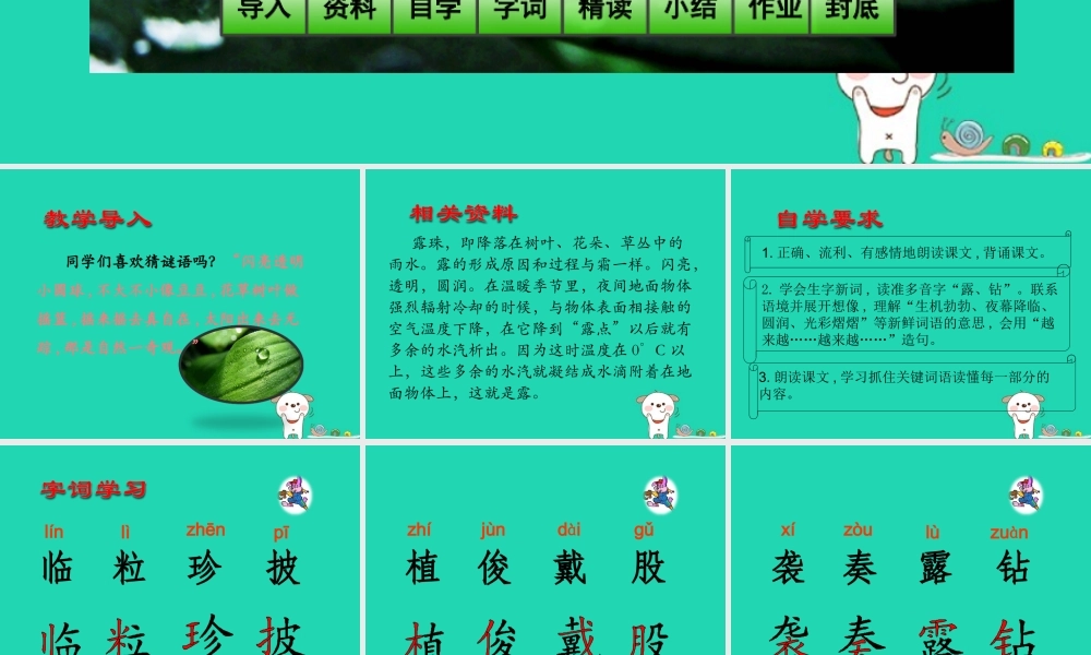 三年级语文上册 第5单元 15小露珠课件 苏教版-苏教版小学三年级上册语文课件