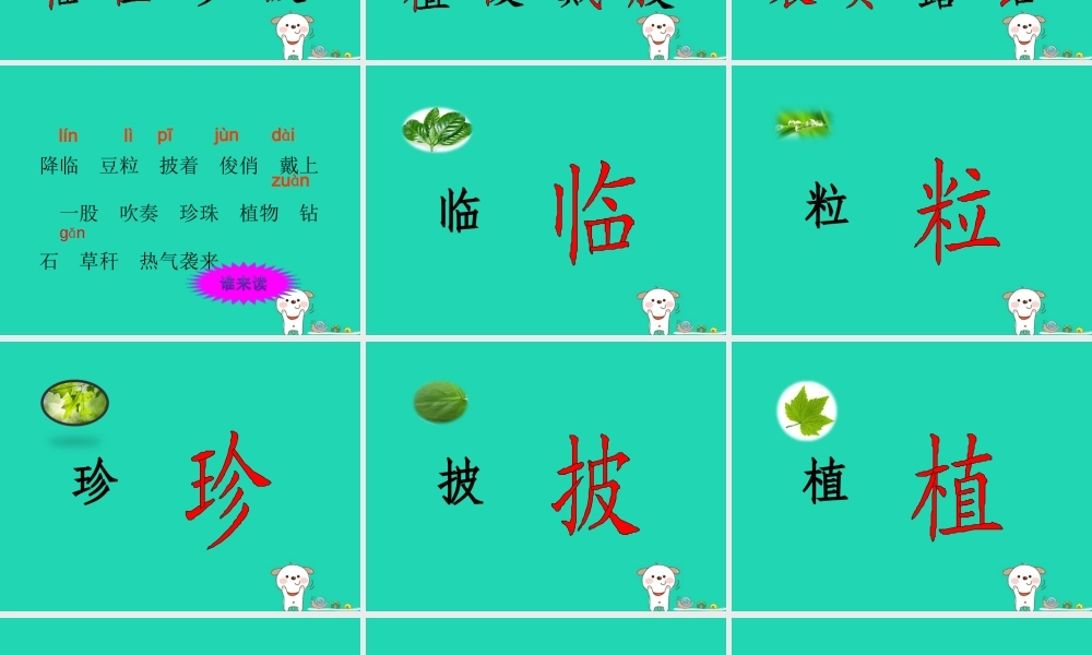 三年级语文上册 第5单元 15小露珠课件 苏教版-苏教版小学三年级上册语文课件