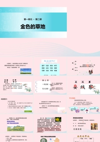三年级语文上册 第一单元 2《金色的草地》精品课件 鲁教版-鲁教版小学三年级上册语文课件