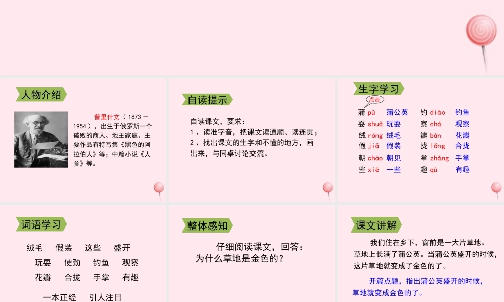 三年级语文上册 第一单元 2《金色的草地》课文教学课件 鲁教版-鲁教版小学三年级上册语文课件