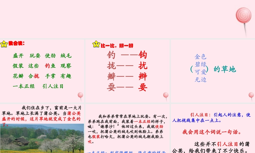 三年级语文上册 第一单元 2《金色的草地》优培课件 鲁教版-鲁教版小学三年级上册语文课件