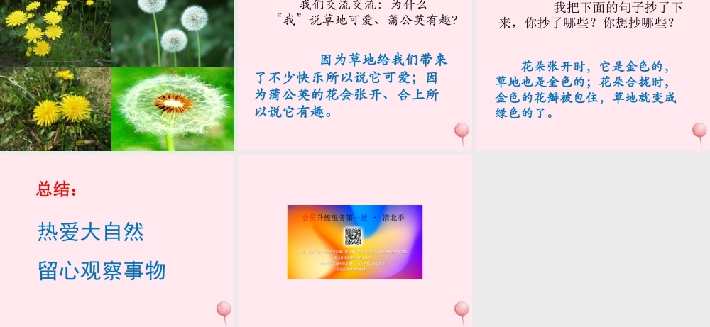 三年级语文上册 第一单元 2《金色的草地》优培课件 鲁教版-鲁教版小学三年级上册语文课件