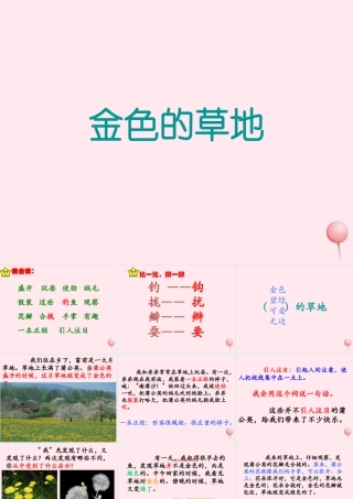 三年级语文上册 第一单元 2《金色的草地》优培课件 鲁教版-鲁教版小学三年级上册语文课件