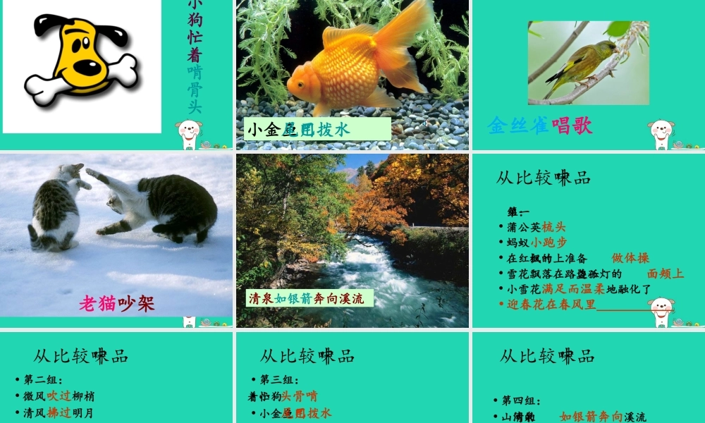 三年级语文上册 2《声音》你一定会听见的课件1 北师大版-北师大版小学三年级上册语文课件