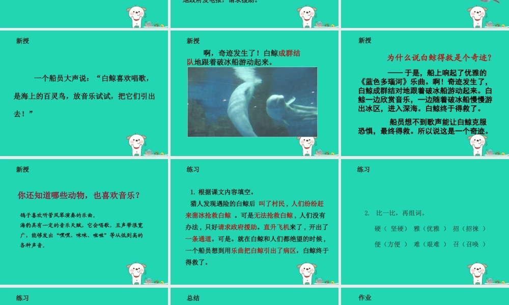 三年级语文上册 2《声音》喜爱音乐的白鲸（第2课时）课件 北师大版-北师大版小学三年级上册语文课件