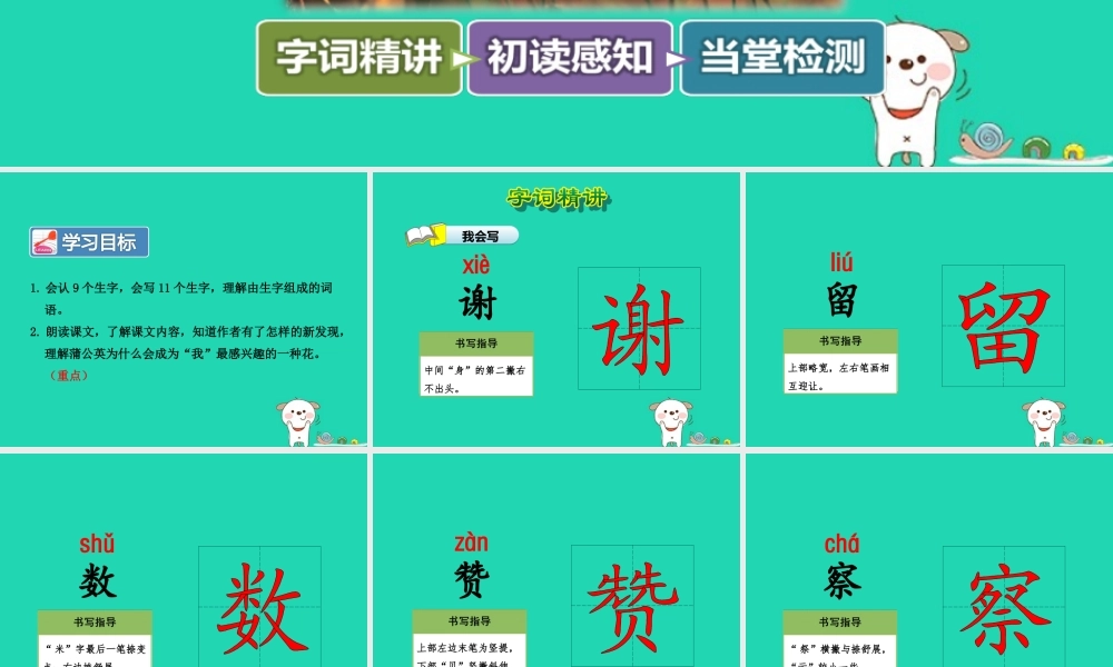 三年级语文上册 第一单元 3 金色的草地（第1课时）课件 冀教版-冀教版小学三年级上册语文课件