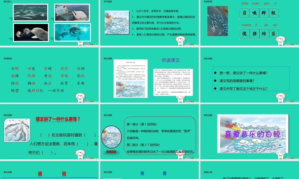 三年级语文上册 2《声音》喜爱音乐的白鲸课件 北师大版-北师大版小学三年级上册语文课件