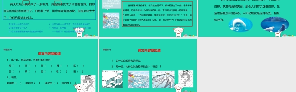 三年级语文上册 2《声音》喜爱音乐的白鲸课件 北师大版-北师大版小学三年级上册语文课件