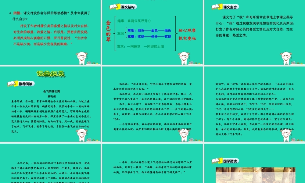 三年级语文上册 第一单元 3 金色的草地（第2课时）课件 冀教版-冀教版小学三年级上册语文课件