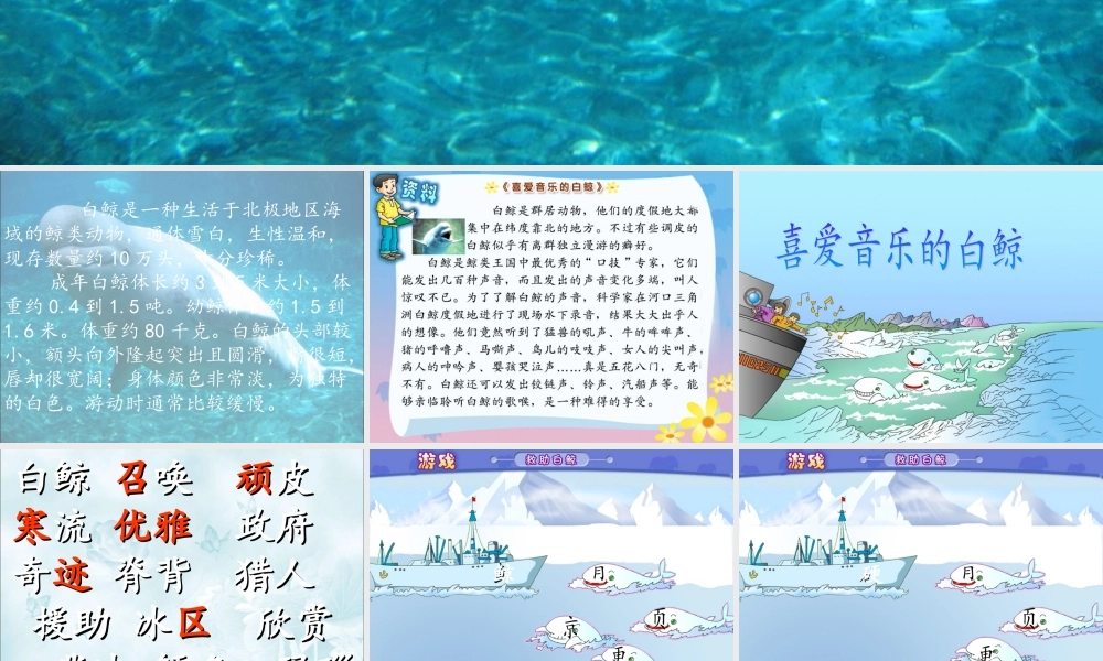 三年级语文上册 2《声音》喜爱音乐的白鲸课件2 北师大版-北师大版小学三年级上册语文课件