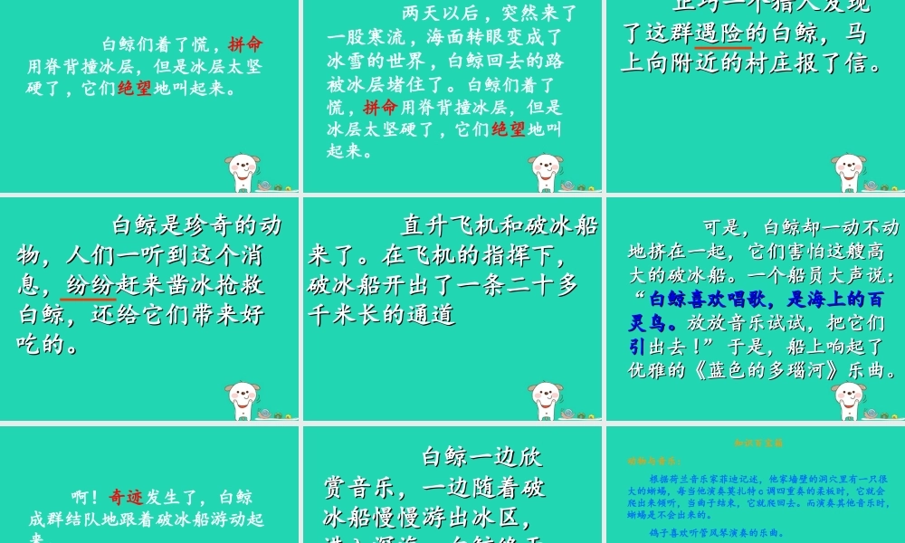 三年级语文上册 2《声音》喜爱音乐的白鲸课件2 北师大版-北师大版小学三年级上册语文课件