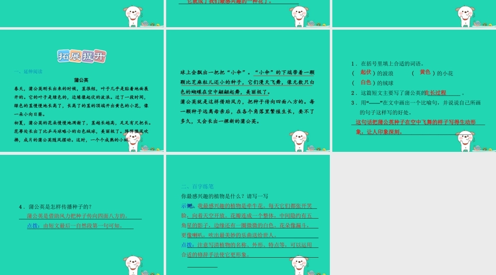 三年级语文上册 第一单元 3 金色的草地课后作业（B组）课件 冀教版-冀教版小学三年级上册语文课件