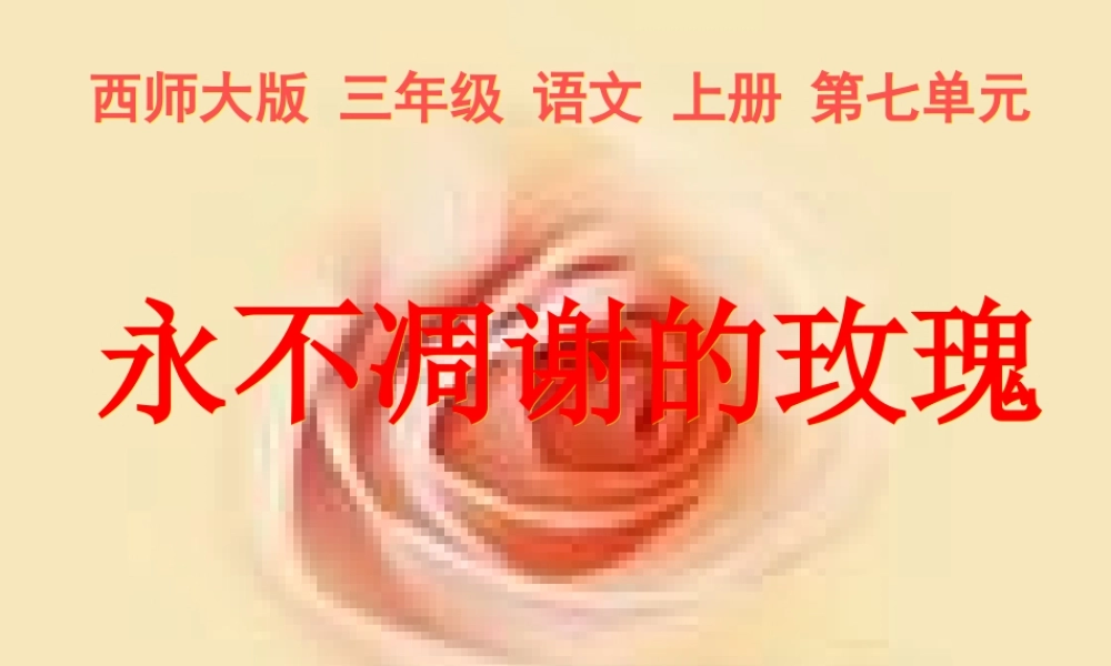 三年级语文上册 第七单元 永不凋谢的玫瑰课件1 西师大版-西师大版小学三年级上册语文课件