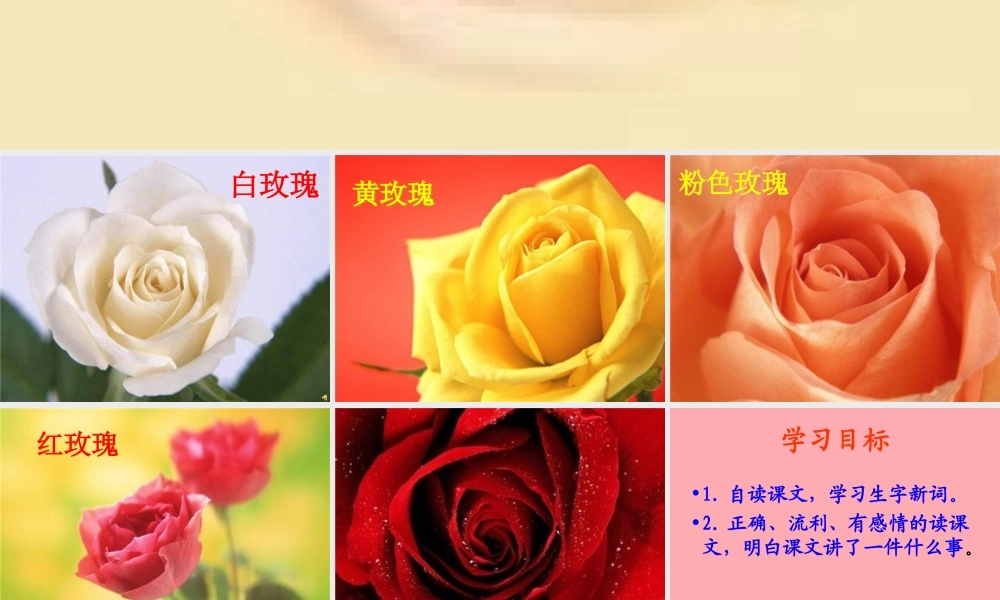 三年级语文上册 第七单元 永不凋谢的玫瑰课件1 西师大版-西师大版小学三年级上册语文课件