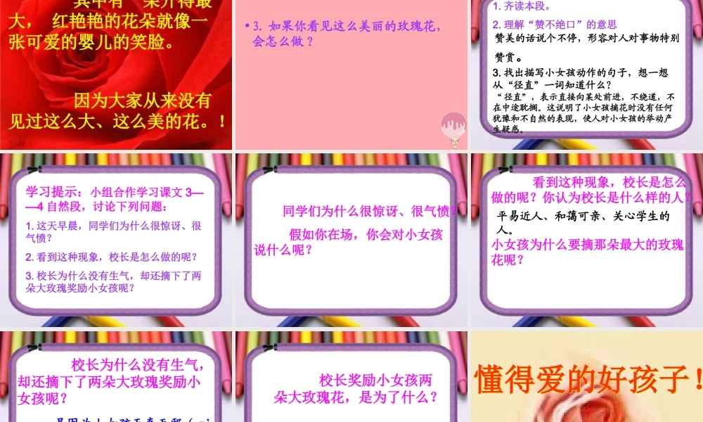 三年级语文上册 第七单元 永不凋谢的玫瑰课件1 西师大版-西师大版小学三年级上册语文课件