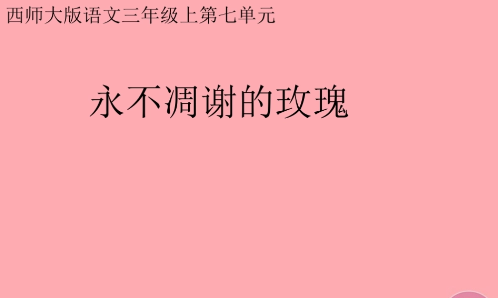 三年级语文上册 第七单元 永不凋谢的玫瑰课件2 西师大版-西师大版小学三年级上册语文课件