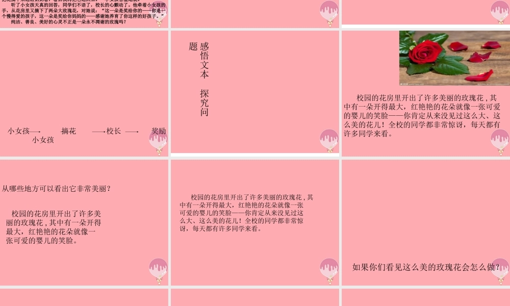 三年级语文上册 第七单元 永不凋谢的玫瑰课件2 西师大版-西师大版小学三年级上册语文课件