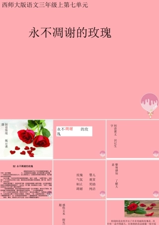 三年级语文上册 第七单元 永不凋谢的玫瑰课件2 西师大版-西师大版小学三年级上册语文课件