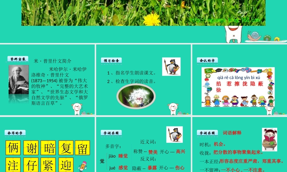 三年级语文上册 第一单元 3 金色的草地课件 冀教版