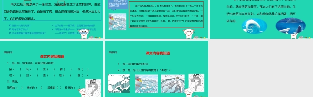 三年级语文上册 2《声音》喜爱音乐的白鲸课件4 北师大版-北师大版小学三年级上册语文课件