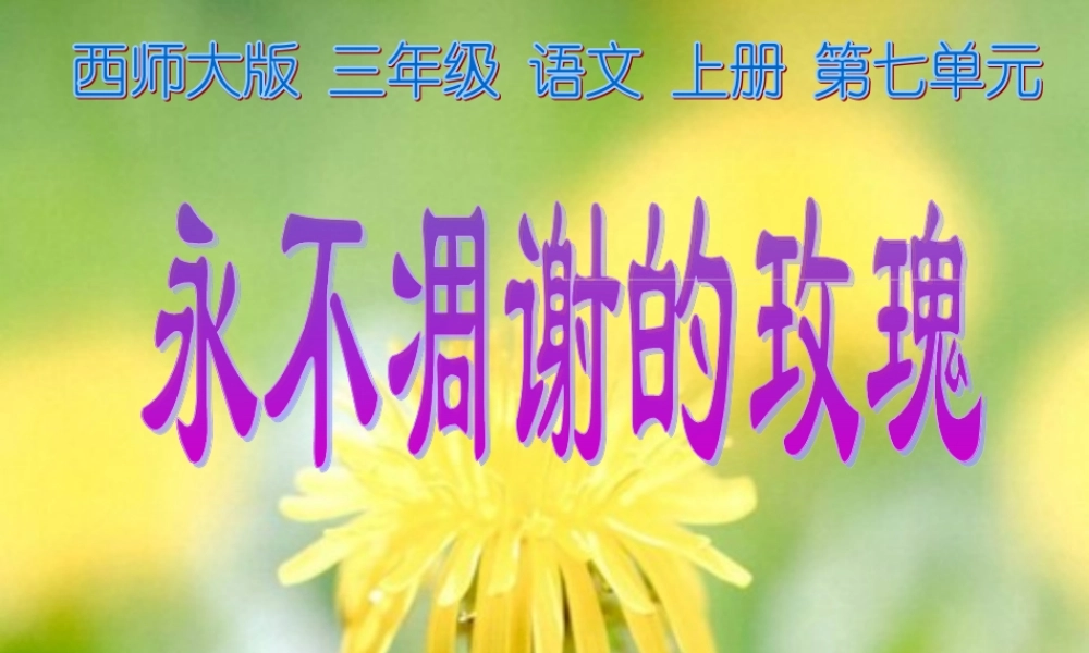三年级语文上册 第七单元 永不凋谢的玫瑰课件3 西师大版-西师大版小学三年级上册语文课件