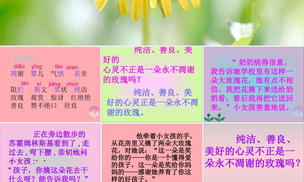 三年级语文上册 第七单元 永不凋谢的玫瑰课件3 西师大版-西师大版小学三年级上册语文课件