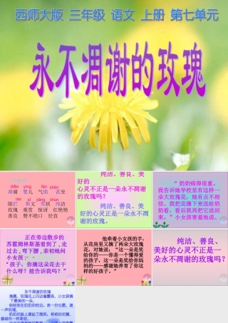三年级语文上册 第七单元 永不凋谢的玫瑰课件3 西师大版-西师大版小学三年级上册语文课件