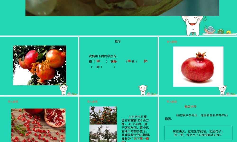 三年级语文上册 第5单元 16石榴（第1课时）课件 苏教版-苏教版小学三年级上册语文课件