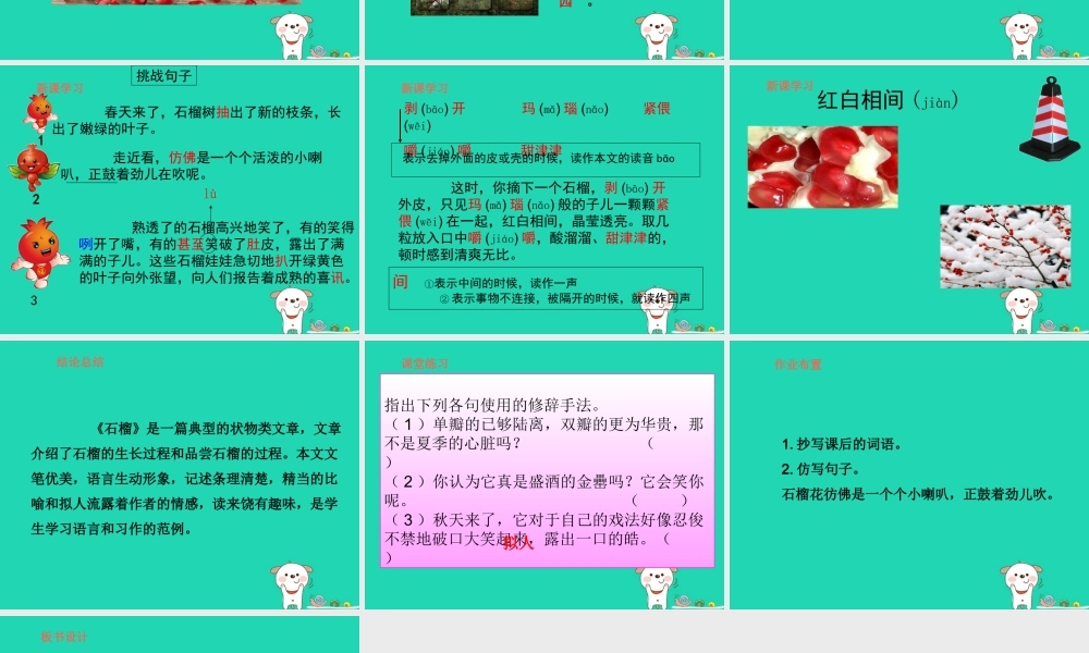 三年级语文上册 第5单元 16石榴（第1课时）课件 苏教版-苏教版小学三年级上册语文课件