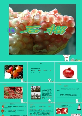 三年级语文上册 第5单元 16石榴（第1课时）课件 苏教版-苏教版小学三年级上册语文课件
